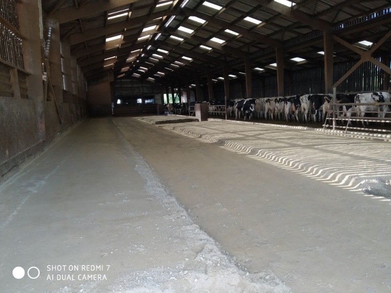 DJTP Entreprise Travaux Publics Gourin AGRICOLE1