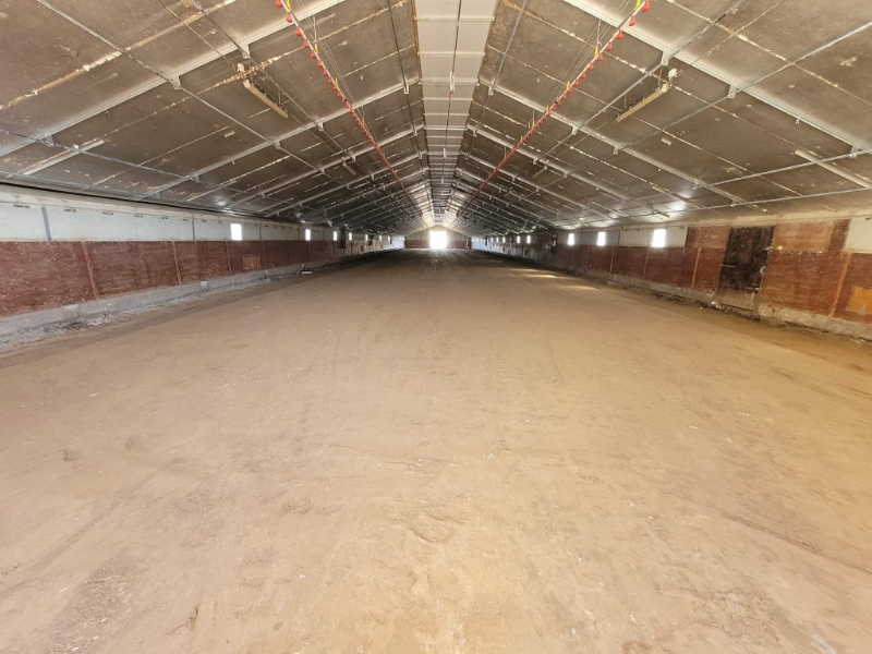 DJTP Entreprise Travaux Publics Gourin AGRICOLE3